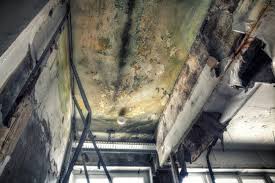 Best Industrial Mold Remediation  in Creswell, OR